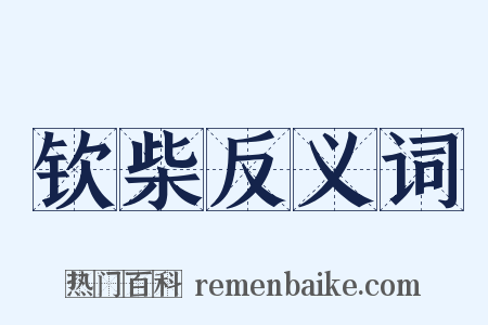 钦柴反义词是什么意思的图片